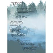 Don't Cry For the Horses Sympathy Cards - Package of 6