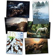 Equine Sympathy Cards Assortment - Package of 12