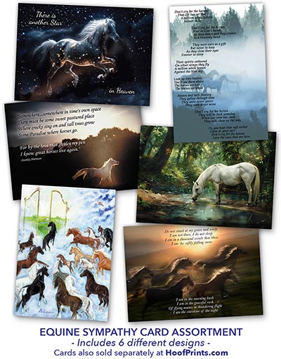 Equine Sympathy Cards Assortment - Package of 12