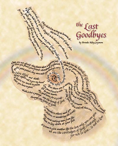 Last Goodbyes Sympathy SINGLE CARD