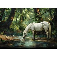 White horse Sympathy Cards - Pkg of 6