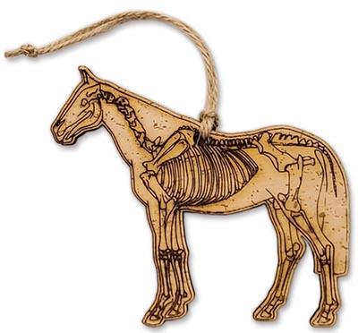 Horse Skeleton Magnet and Christmas Ornament