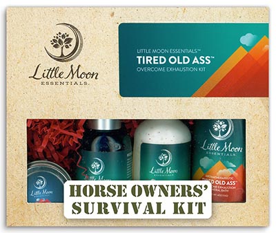 Tired Old Ass Exhaustion Survival Kit *HALF PRICE WHILE SUPPLIES LAST*