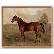 8x10 Framed Bay Horse Picture Vintage Horse Art *ONLY ONE AVAILABLE*