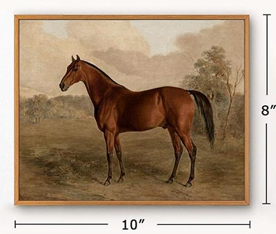 8x10 Framed Bay Horse Picture Vintage Horse Art *ONLY ONE AVAILABLE*