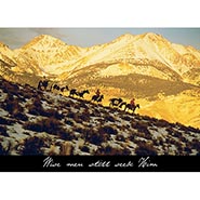 Wise men still seek Him - Pkg of 10 Cards FOR BUSINESS *HALF PRICE* $4.98