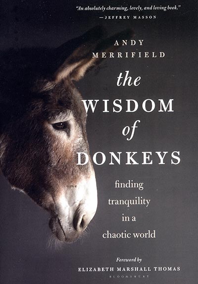 The Wisdom of Donkeys: Finding Tranquility in a Chaotic World by Andy Merrifield