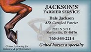 Custom Business Cards - Gaited Horse Hind Leg design