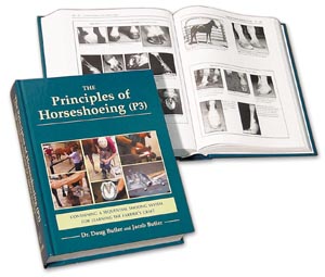 Book Principles (P3)