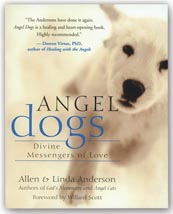 Angel Dogs