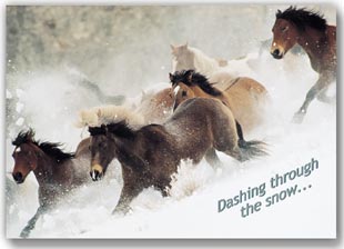 Dashing Through the Snow