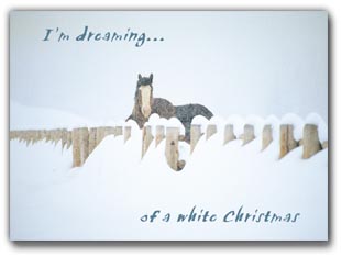 I'm Dreaming of a White Christmas