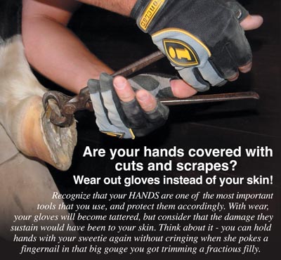 Farrier Gloves