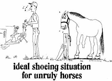 Ideal Shoeing Situation