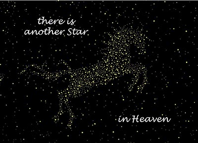 Star in Heaven